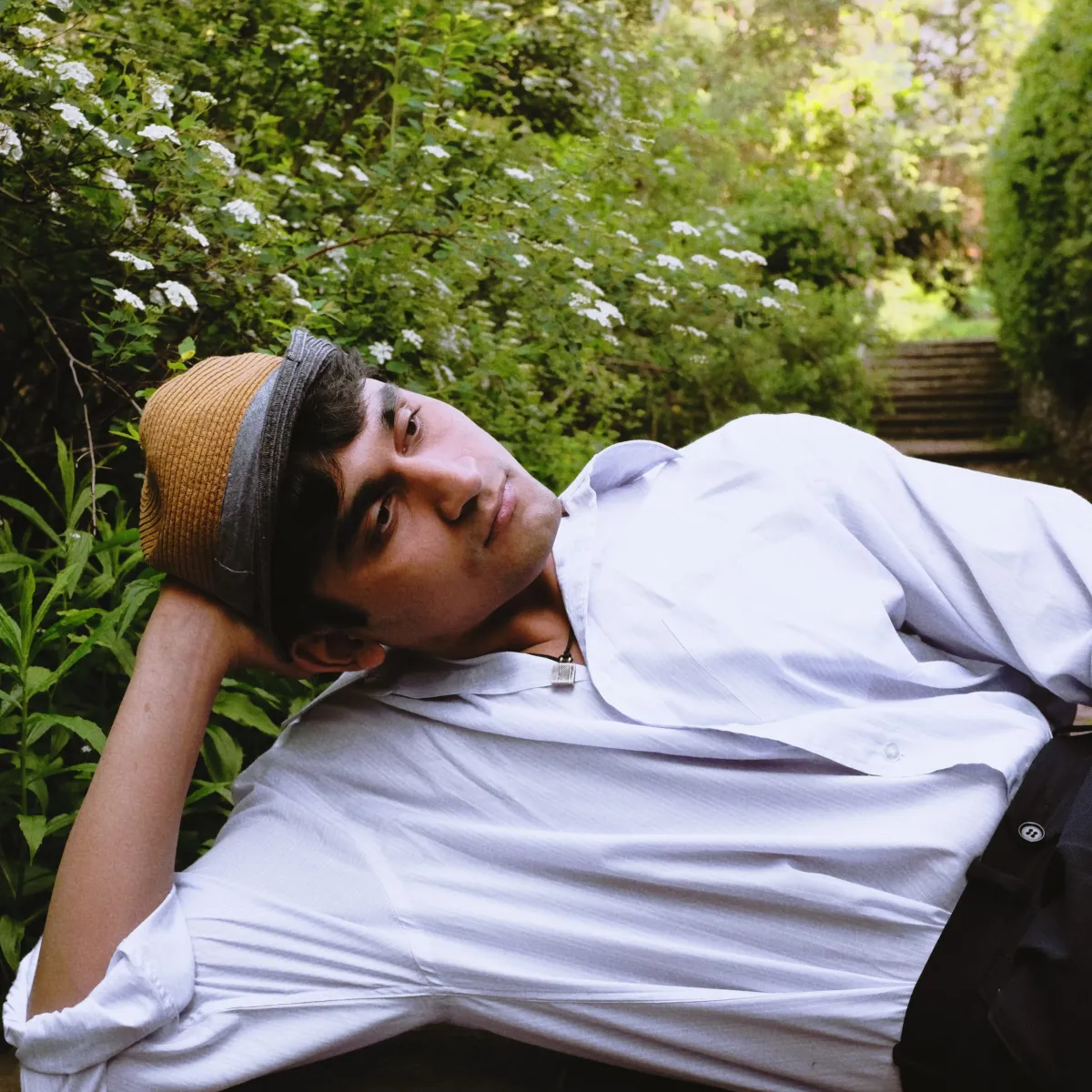 Acting, Singing, Dance, comedy, Writing, Direction