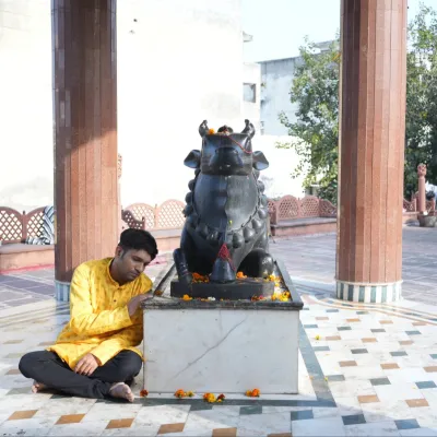 Storytelling , singing, shayri