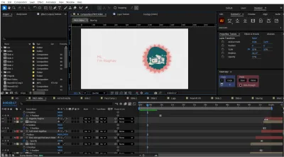Motion Design and Editing