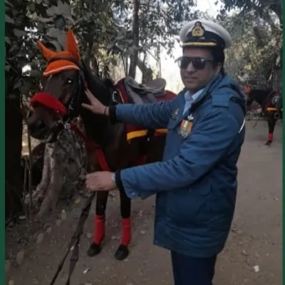 Counselling and hiring or providing placements 